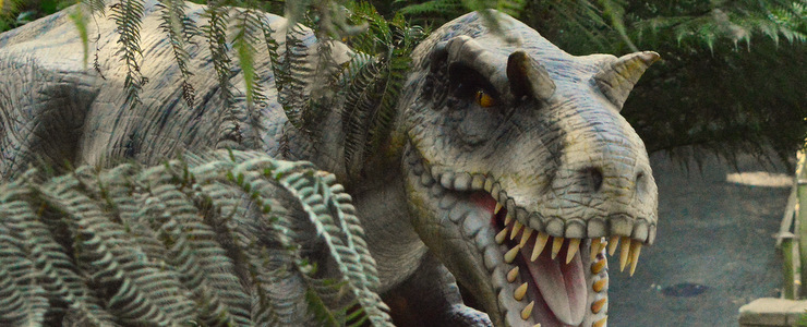 Combe Martin Wildlife Park