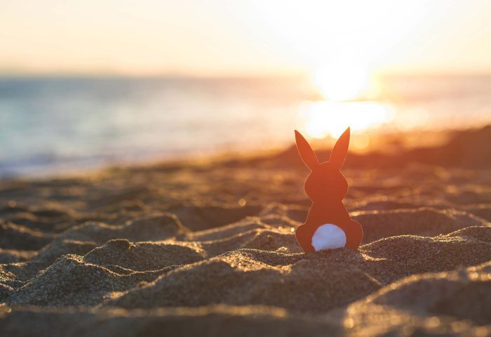 Easter Bunny on Woolacombe beach at sunset